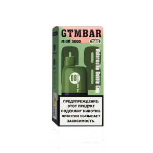 GTM Bar MIGO 5000 Арбузная жвачка (Перезаряжаемая)