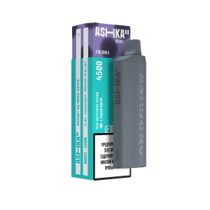 ASHKA MARS 4500 Ежевика (Перезаряжаемая)