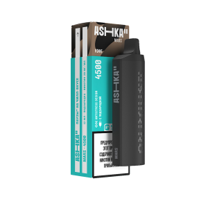 ASHKA MARS 4500 Кофе (Перезаряжаемая)
